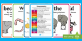 Mnemonics Powerpoint 