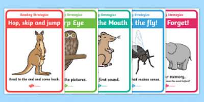 Animal Strategy Summary 